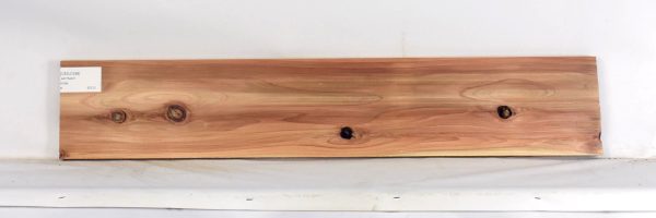 CEDJ1288_1