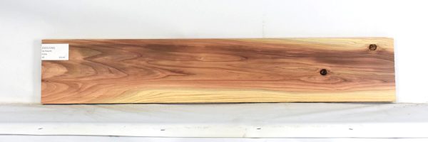 CEDJ1295_2