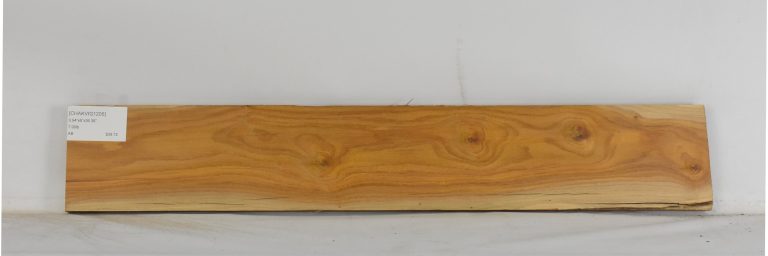 CHAKVIG1205_1