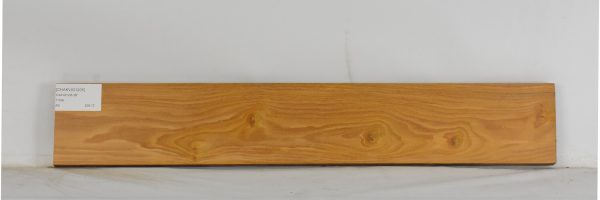 CHAKVIG1205_2