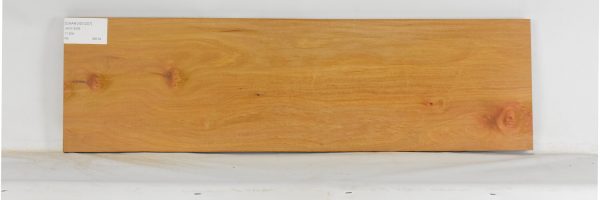 CHAKVIG1207_2