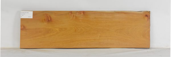 CHAKVIG1208_2
