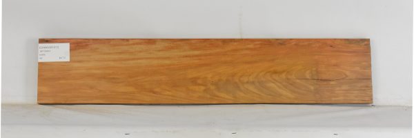 CHAKVIG1217_1