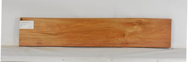 CHAKVIG1218_1