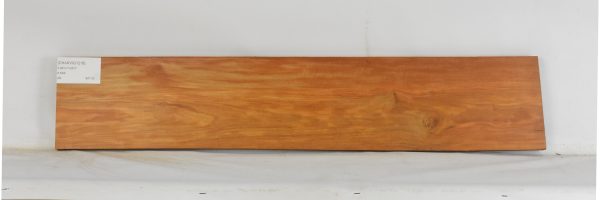 CHAKVIG1218_2