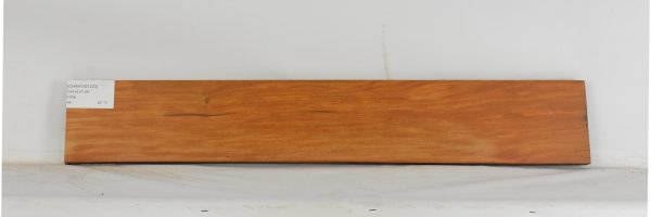 CHAKVIG1223_1
