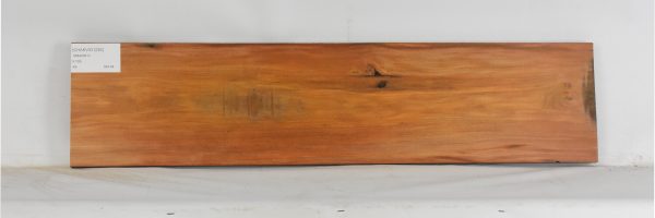 CHAKVIG1226_2