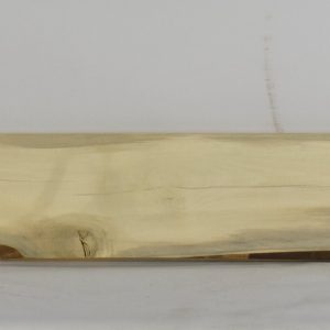 HOLLY1195_1