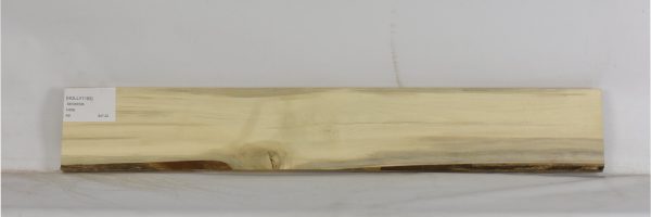 HOLLY1195_1