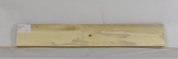HOLLY1195_2