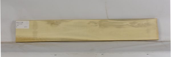 HOLLY1196_1
