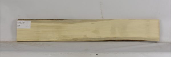 HOLLY1196_2