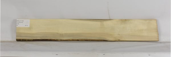 HOLLY1197_1