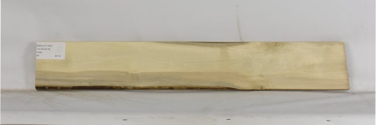 HOLLY1197_1