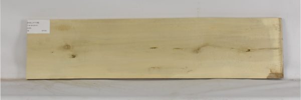 HOLLY1198_1