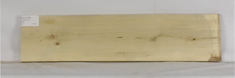 HOLLY1198_1