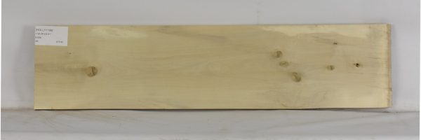 HOLLY1198_2