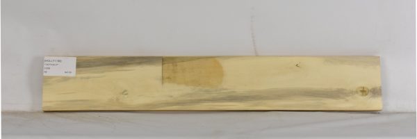 HOLLY1199_1