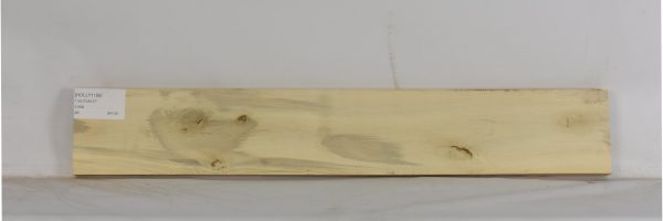 HOLLY1199_2
