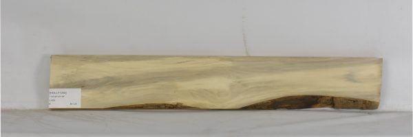 HOLLY1200_1