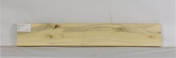 HOLLY1201_1