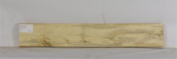 HOLLY1201_2