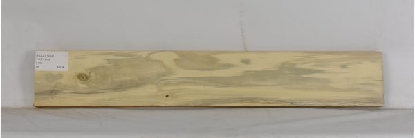 HOLLY1203_2