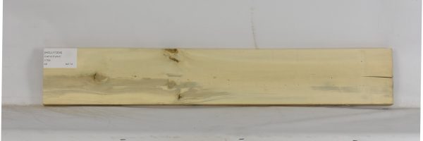 HOLLY1204_2