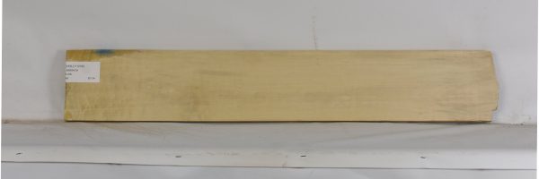 HOLLY1208_2