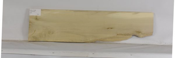 HOLLY1209_1