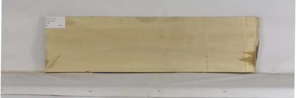 HOLLY1210_1