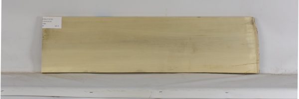 HOLLY1210_2