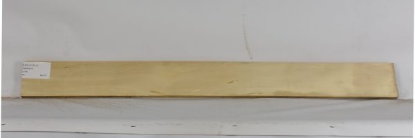HOLLY1211_1