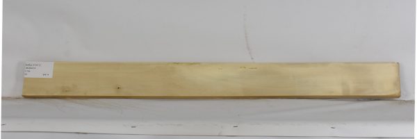 HOLLY1211_2