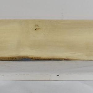 HOLLY1213_1
