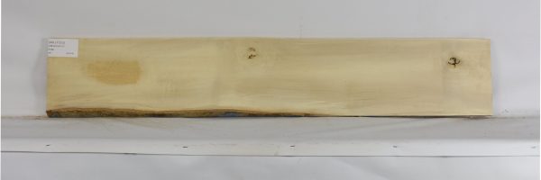 HOLLY1213_1