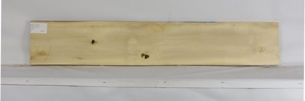HOLLY1213_2