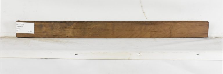IMB1137_1