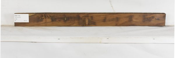 IMB1144_1
