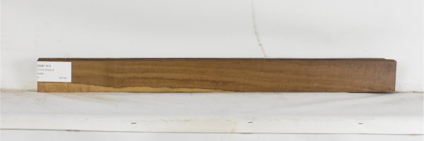 IMB1157_2