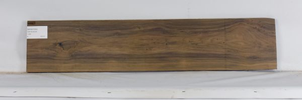 MANS1055_2