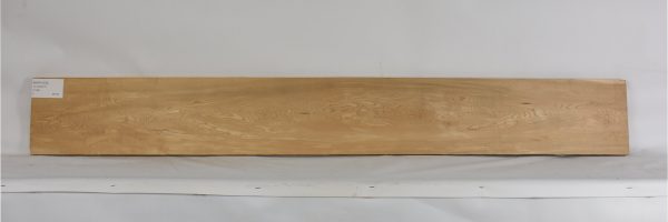 MAPH1230_1