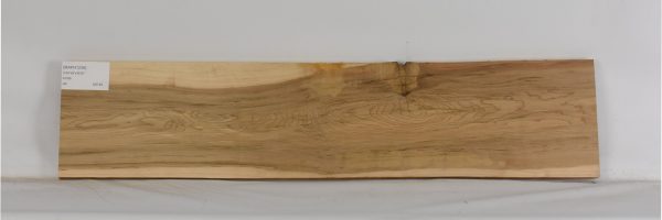 MAPH1236_1