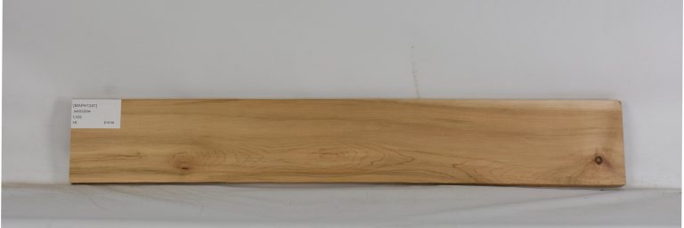 MAPH1241_1