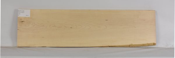 MAPH1245_2