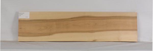 MAPH1247_1