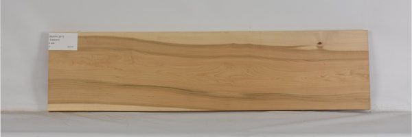 MAPH1247_2