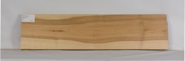 MAPH1248_1