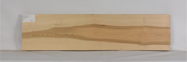 MAPH1248_2