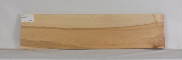 MAPH1249_2